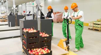 Food industry